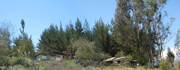 Die Schule "Katitawa",
                          Panoramafoto