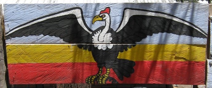 Kondorvogel, Nahaufnahme