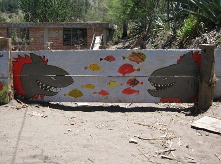 Fische und Haifische