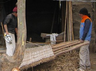 Pared de carrizo, primer plano