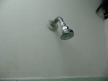 Hostal Berlin, cabeza de la
                                    ducha