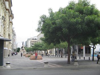 Zentrum von Guayaquil, Fussg�ngerzone und
                          Baumgruppe an der Pichincha-Allee (Avenida
                          Pichincha)
