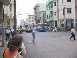 Guayaquil, Rumichaca-Allee,
                                    wartende Busse bei Rotlicht
                                    nebeneinander
