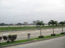 Guayaquil, Avenida Rosales con palmeras
                          (01)