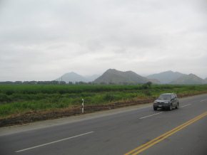 Feld mit Urwaldbergen zwischen Gen. Pedro
                        Montero und Puerto Inca (01)