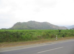 Feld mit Urwaldbergen zwischen Gen. Pedro Montero und
            Puerto Inca (02)