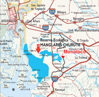 Mapa del trayecto Guayaquil-Machala con
                            la indicacin de la reserva ecolgica
                            "Manglares Churute" [9]