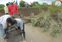 berschwemmte Felder bei Naranjal im
                            Januar 2009