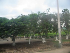 Baumgruppe vor Machala