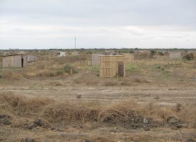 Panamericana zwischen Machala und
                          Huaquillas, Holzh�tten (03)