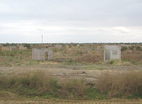 Panamericana zwischen Machala und
                          Huaquillas, Holzh�tten (04)