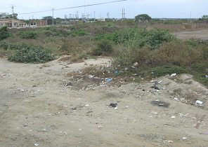 Panamericana zwischen Machala und
                          Huaquillas kurz vor der Grenze zwischen Peru
                          und Ecuador, Abfallhaufen am Strassenrand