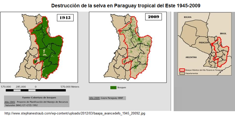 Mapa de Paraguay con la
                  deforestaci�n y la destrucci�n de la selva