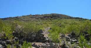 H�hle Pikimachay / Piqimachay /
                            Piquimachay, Eingang, Foto Nr.1