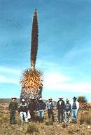 Kakteenpark von Titankayoq: Gr�ssenvergleich