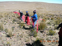 Bildung der Menschen-Seil-Kette