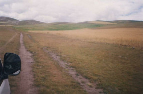 Camino, cuneta, campo de cereales y panorama