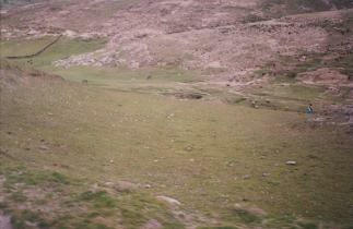 Pastizal con piedras, una ind�gena vigila su
                      ganado