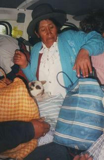 Abuela ind�gena con cordero en el fald�n