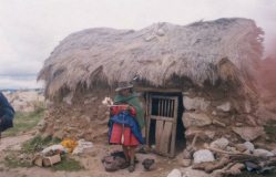 Grandmother before dwelling house, tearing
                      whool