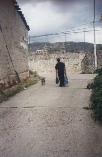 Jir�n C�ceres, detr�s del muro se ve los
                          puntos de los campanarios