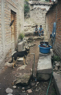 La casa del taller de Ciriaco Sosa, el
                        unico ca�o de la casa, los hijos al fondo