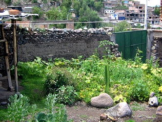 Jard�n de
                        verduras 01