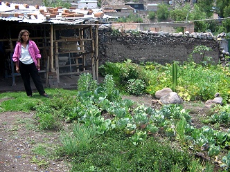 Jard�n de
                        verduras 02 con madre Victoria