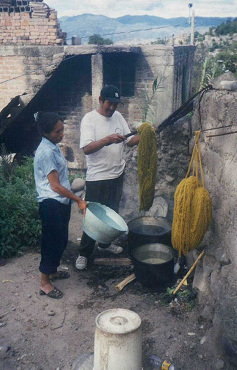 Colorar lana: Lana amarilla, reci�n
                        colorada