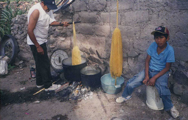 La
                        lana est� sacada