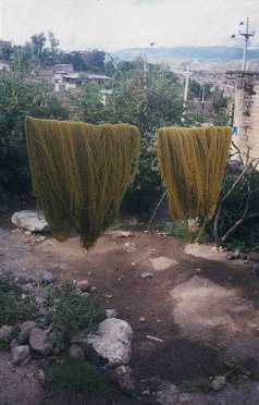 Lana reci�n colorada est� colgada para
                        secar