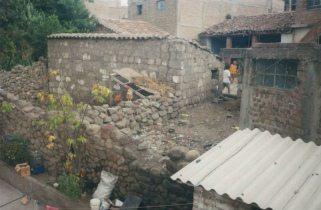 Gallo y gallina en el patio trasero, y un
                        juego de f�tbol