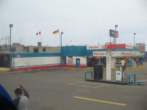 Panamericana Sur, lugar con grifo y una
                          bandera alemana