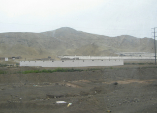 Panamericana Sur, cerros de desierto 08,
                          con crianzas