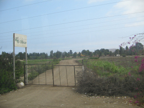 Panamericana Sur, llanura "El
                          Olivar"