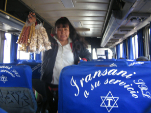 Panamericana Sur, diseo del bus
                          "Transani" y la vendedora con snacks
                          02