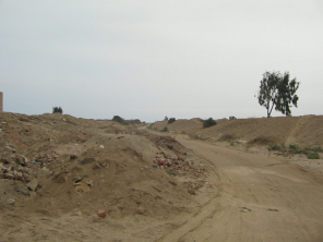 Chilca, pista de arena al mar 02, con
                          arbol