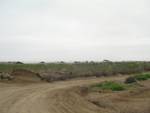 Chilca, pista de arena al mar 05