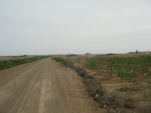 Chilca, pista de arena al mar 06