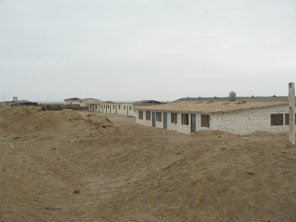 Chilca, una crianza de pollos