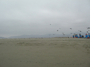 Chilca, panorama del playa 04