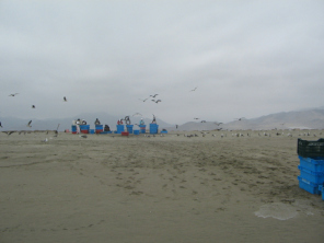 Chilca, panorama del playa 05