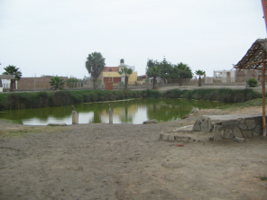 Chilca, la laguna medicinal no. 3 Chilca, la laguna medicinal no. 3