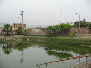 Chilca, foto panor�mica 01 de la laguna
                          medicinal no. 2