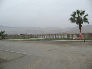Chilca, laguna medicinal no. 1, vallado
                          con palmera