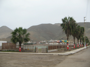 Chilca, la entrada con la hilera de
                          palmeras a la laguna no. 1
