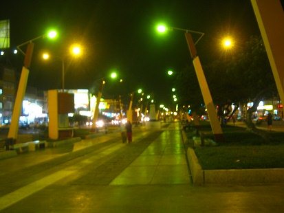 La avenida de la Torre con su bulevar
                            en la noche