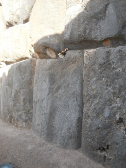 Cusco Sacsayhuamn, giant zigzag wall, detail 20