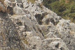 Detalles de la roca de escaleras y tronos "Chinchana grande" parte 2 derecha, detalle tronos