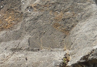Details from the rock of stairs and thrones "Chinchana grande", view 3, big cuts of the big throne surfaces, zoom 5